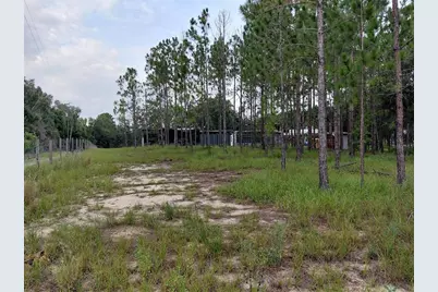 14240 Lost Lake Road, Clermont, FL 34711 - Photo 18