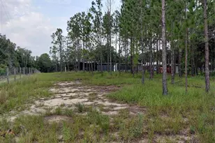 14240 Lost Lake Rd, Clermont, FL 34711 - Photo 18
