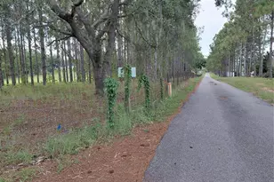 14240 Lost Lake Rd, Clermont, FL 34711 - Photo 22
