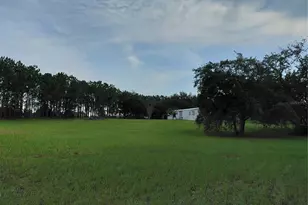 14240 Lost Lake Rd, Clermont, FL 34711 - Photo 2