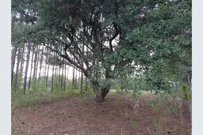 14240 Lost Lake Road, Clermont, FL 34711 - Photo 8