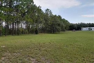 14240 Lost Lake Rd, Clermont, FL 34711 - Photo 10