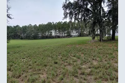 14240 Lost Lake Road, Clermont, FL 34711 - Photo 4