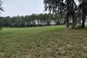 14240 Lost Lake Rd, Clermont, FL 34711 - Photo 4