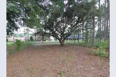 14240 Lost Lake Road, Clermont, FL 34711 - Photo 12