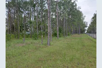 14240 Lost Lake Road, Clermont, FL 34711 - Photo 20