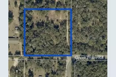 10681 Goose Prairie Rd Road, Leesburg, FL 34788 - Photo 1