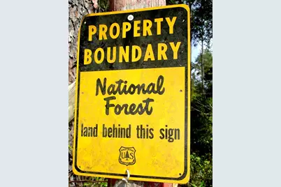 0 SE 150th Forest 02, #3,  SE 150th Street, Umatilla, FL 32784 - Photo 24