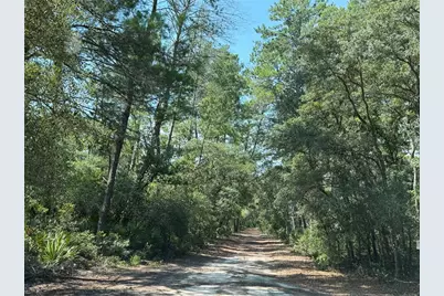 0 SE 150th Forest 02, #3,  SE 150th Street, Umatilla, FL 32784 - Photo 4