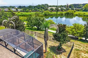 3115 Zander Dr, Grand Island, FL 32735 - Photo 30