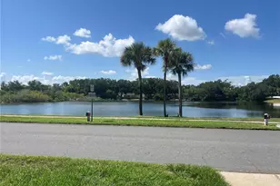 3101 Village Ln, Mount Dora, FL 32757 - Photo 2