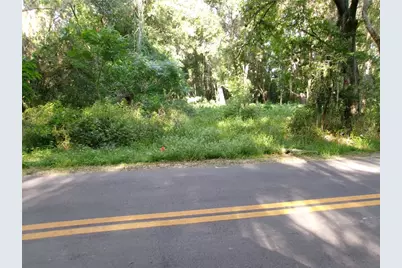 St Clair Street, Wildwood, FL 34785 - Photo 2