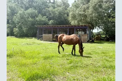 7589 Cr 763, Bushnell, FL 33513 - Photo 38