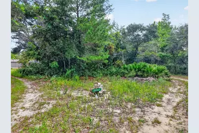 20241 Saltsdale Road, Umatilla, FL 32784 - Photo 2