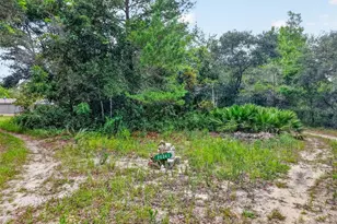 20241 Saltsdale Rd, Umatilla, FL 32784 - Photo 2