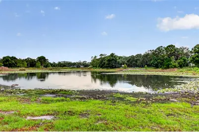 37414 Turner Drive, Umatilla, FL 32784 - Photo 28