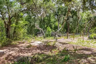 24307 Adair Ave, Sorrento, FL 32776 - Photo 42