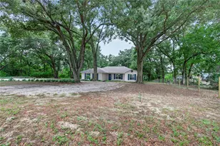 24307 Adair Ave, Sorrento, FL 32776 - Photo 40