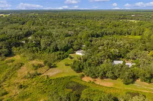6590 Cr 631, Bushnell, FL 33513 - Photo 40