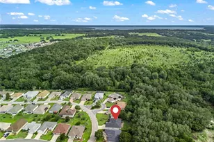 17879 SE 125th Cir, Summerfield, FL 34491 - Photo 42