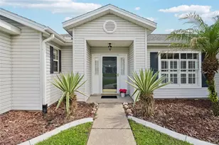4529 Peach Tree St, Leesburg, FL 34748 - Photo 6