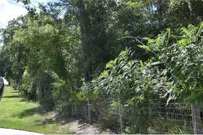 31328 Sand Lake Drive, Mount Dora, FL 32757 - Photo 8