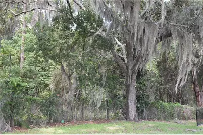 31328 Sand Lake Drive, Mount Dora, FL 32757 - Photo 10