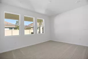 17584 Valleywood Pkwy, Land O Lakes, FL 34638 - Photo 14