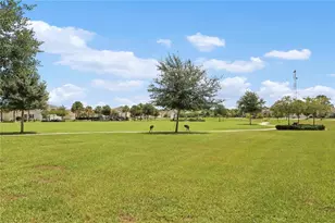 33571 Sky Blossom Cir, Leesburg, FL 34788 - Photo 54