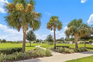 33571 Sky Blossom Cir, Leesburg, FL 34788 - Photo 52