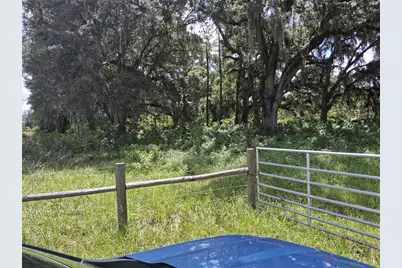 409 County Road 542E, Bushnell, FL 33513 - Photo 2