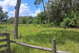 409 County Rd 542 E, Bushnell, FL 33513 - Photo 1