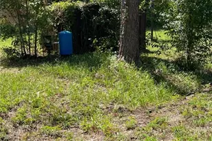 1968 SE 161st Terrace, Ocklawaha, FL 32179 - Photo 12