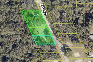 2396 N C 470, Lake Panasoffkee, FL 33538 - Photo 32
