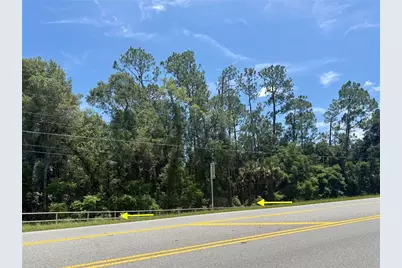Lot 14 State Road 44, Eustis, FL 32726 - Photo 2