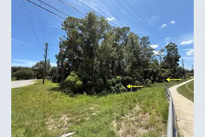 Lot 14 State Road 44, Eustis, FL 32726 - Photo 12