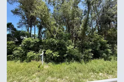 Lot 13 State Road 44, Eustis, FL 32726 - Photo 6