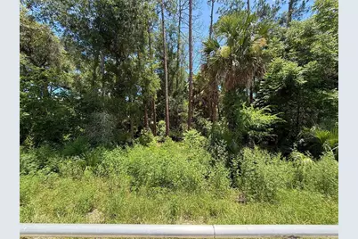 Lot 13 State Road 44, Eustis, FL 32726 - Photo 8