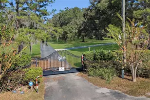 400 Carman Dr, Leesburg, FL 34748 - Photo 2