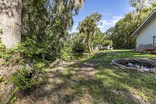 2886 N C 470, Lake Panasoffkee, FL 33538 - Photo 2