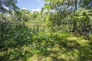 2886 N C 470, Lake Panasoffkee, FL 33538 - Photo 80