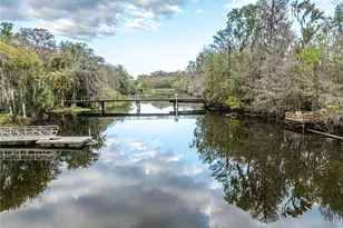2886 N C 470, Lake Panasoffkee, FL 33538 - Photo 28