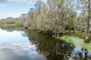 2886 N C 470, Lake Panasoffkee, FL 33538 - Photo 34