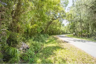 2886 N C 470, Lake Panasoffkee, FL 33538 - Photo 52