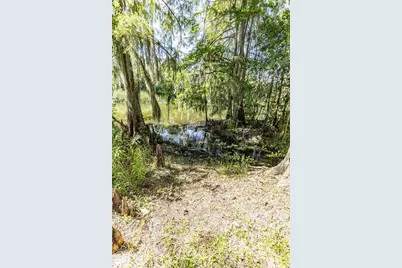 2886 N C 470, Lake Panasoffkee, FL 33538 - Photo 10