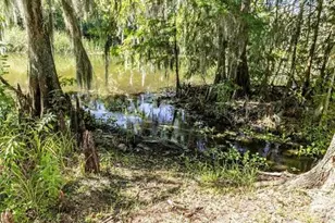 2886 N C 470, Lake Panasoffkee, FL 33538 - Photo 10