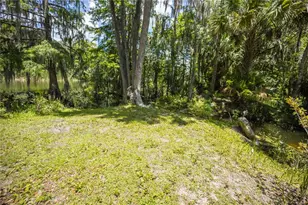 2886 N C 470, Lake Panasoffkee, FL 33538 - Photo 82