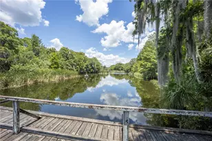 2886 N C 470, Lake Panasoffkee, FL 33538 - Photo 70