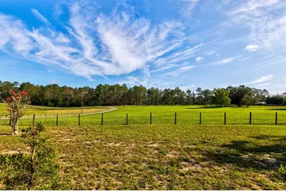 24948 Walkabout Ranch Road, Sorrento, FL 32776 - Photo 4