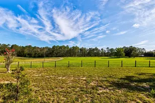 24948 Walkabout Ranch Rd, Sorrento, FL 32776 - Photo 4